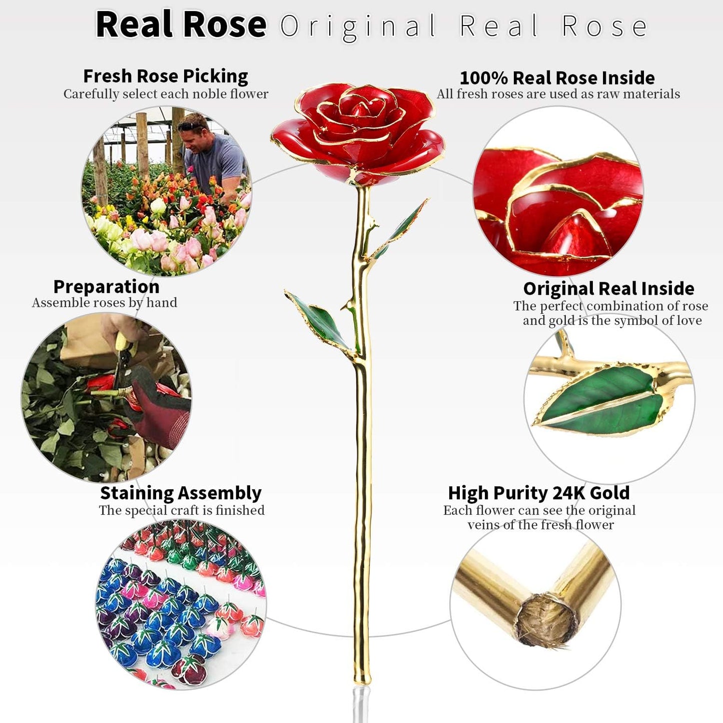 Valentines Day Gift Rose,24K Gold Real Rose Gift for Her and Great Valentines Gift for Her Rose, Red Rose with Stand