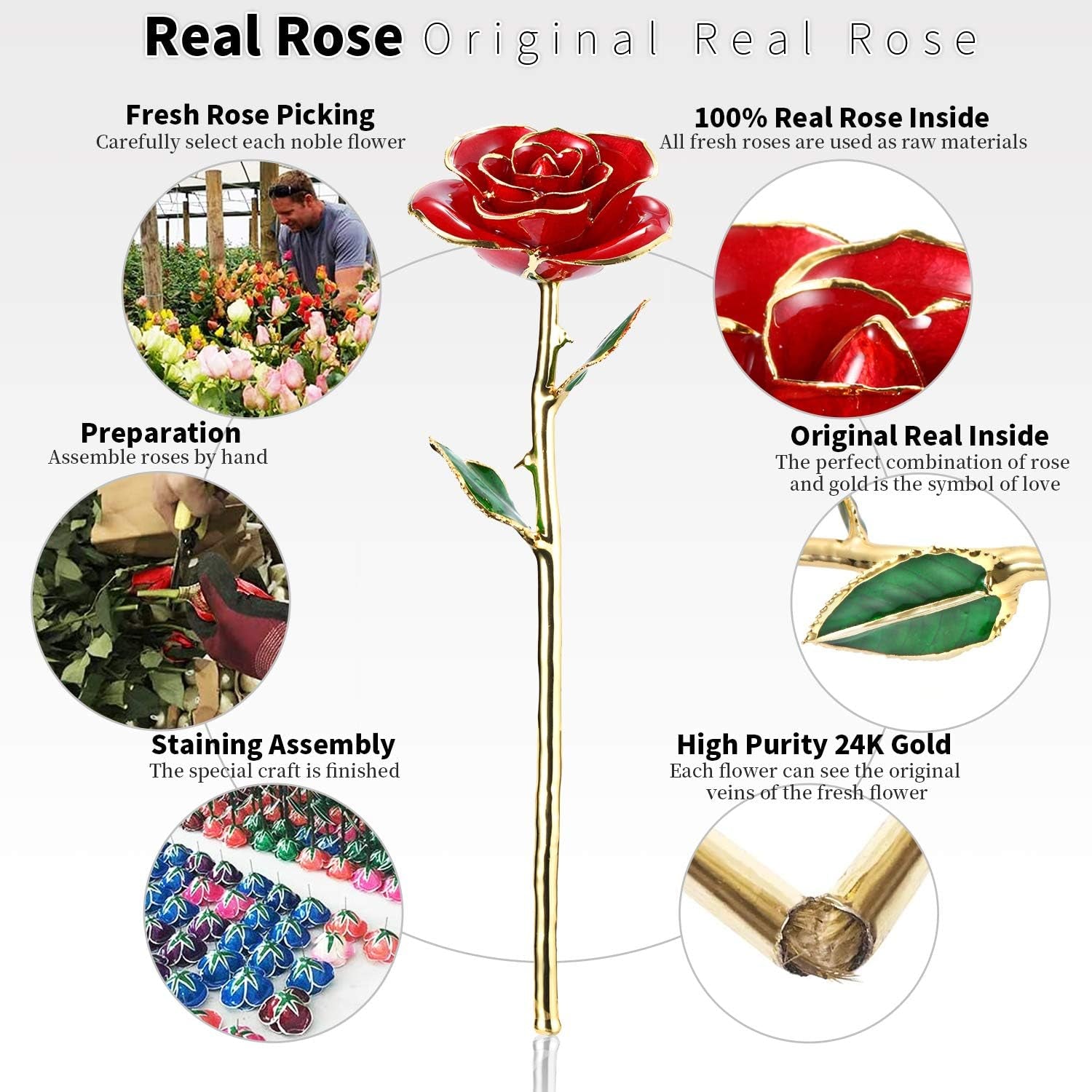 Valentines Day Gift Rose,24K Gold Real Rose Gift for Her and Great Valentines Gift for Her Rose, Red Rose with Stand