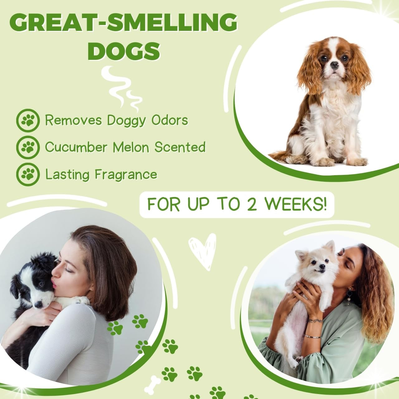 All Stages Natural Dog Shampoo and Conditioner Set with Aloe Vera Ph-Balanced Dog Grooming Shampoo and Conditio