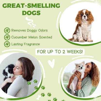 All Stages Natural Dog Shampoo and Conditioner Set with Aloe Vera Ph-Balanced Dog Grooming Shampoo and Conditio