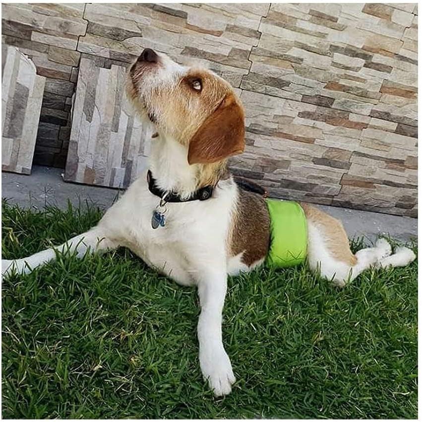 Male Dog Wraps Washable & Reusable Belly Band Diapers Materials Durable Machine Washable Doggie Pee Puppy Pads Diaper Trainer Potty - 3 Pack Set