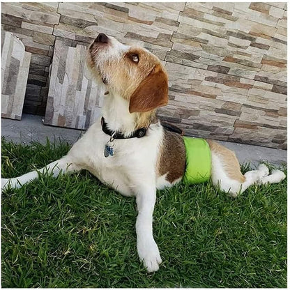Male Dog Wraps Washable & Reusable Belly Band Diapers Materials Durable Machine Washable Doggie Pee Puppy Pads Diaper Trainer Potty - 3 Pack Set