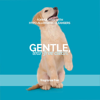 Sensi-Skin Hypoallergenic Dog Shampoo, 1 Gallon, All Natural Ingredients, Sensitive Skin Pet Shampoo, Gentle, No Fra