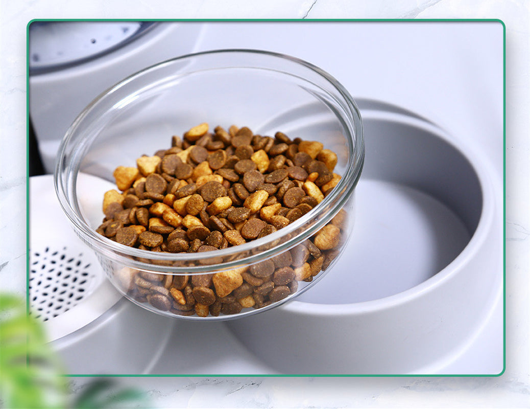 Water Dispenser Is Mobile and Unplugged Automatic Water Feeder for Pets