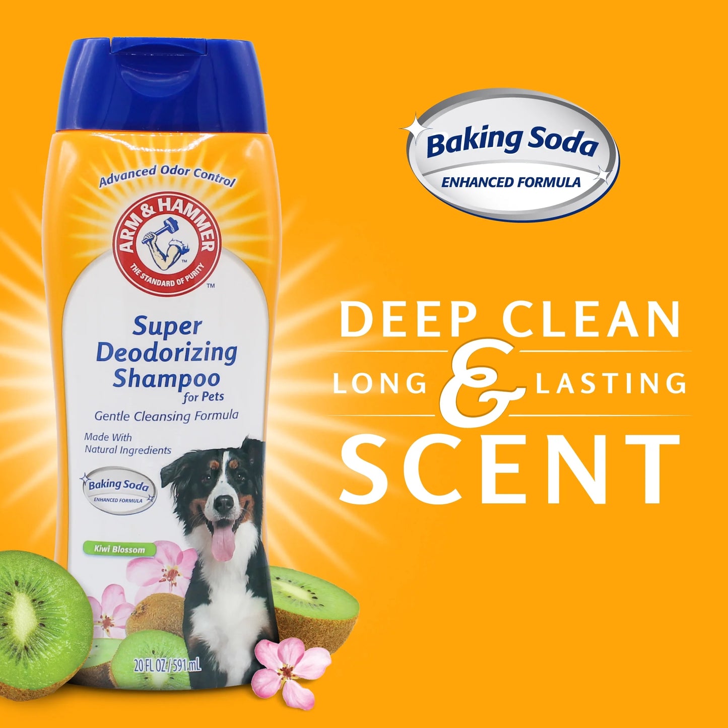 (3 Pack)  Dog Deodorizing Shampoo with Baking Soda, Kiwi Blossom Scent 20 Oz