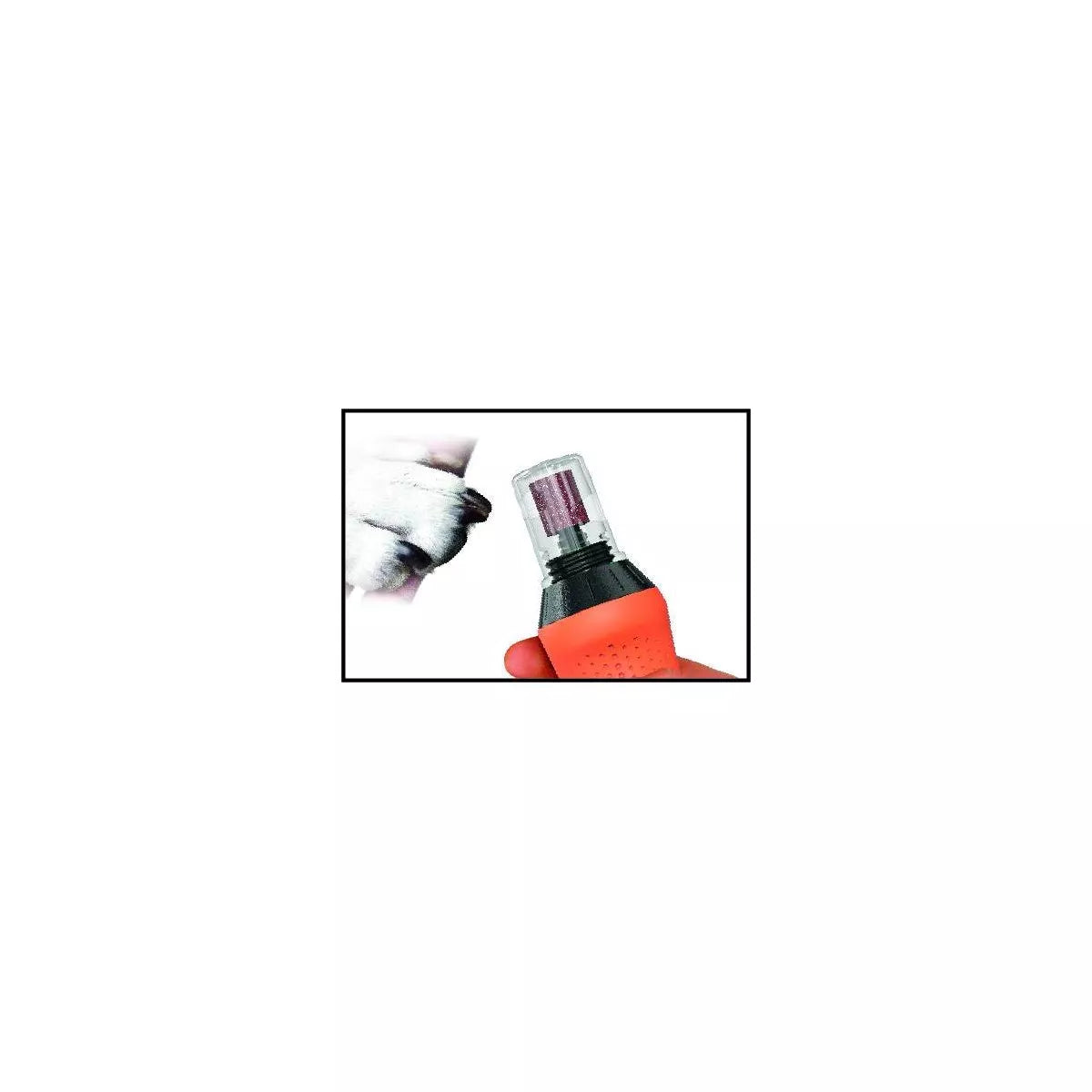Wahl Grind and Smooth Cordless Battery Dog and Cat Nail Grinder Kit