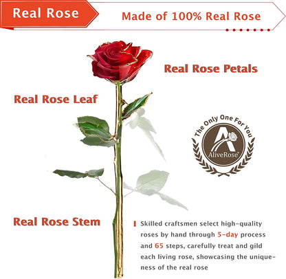 Valentines Day Gift Rose, Long Stem Rose Made from 24K Gold Dipped Real Rose Gift for Her Rose(Red with Crystal Vase)