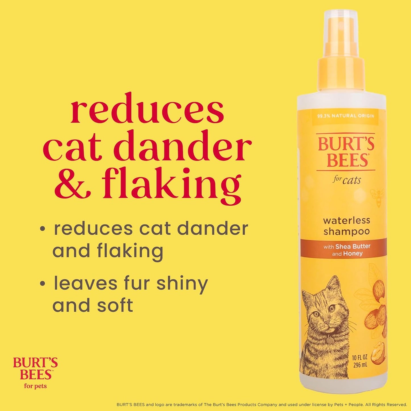 Waterless Cat Shampoo for Cats with Shea Butter and Honey - a No Rinse Dry Kitten Shampoo, Gentle Cat Grooming Supplies for Pet Cleaning, Kittens & Indoor Cats, 10 Fl Oz