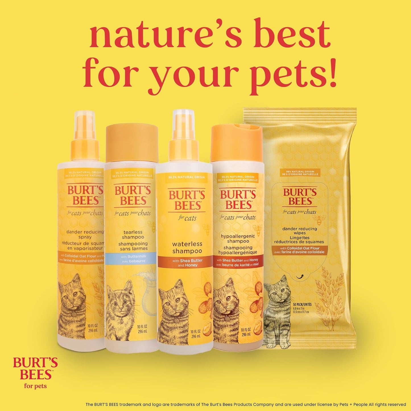 Waterless Cat Shampoo for Cats with Shea Butter and Honey - a No Rinse Dry Kitten Shampoo, Gentle Cat Grooming Supplies for Pet Cleaning, Kittens & Indoor Cats, 10 Fl Oz