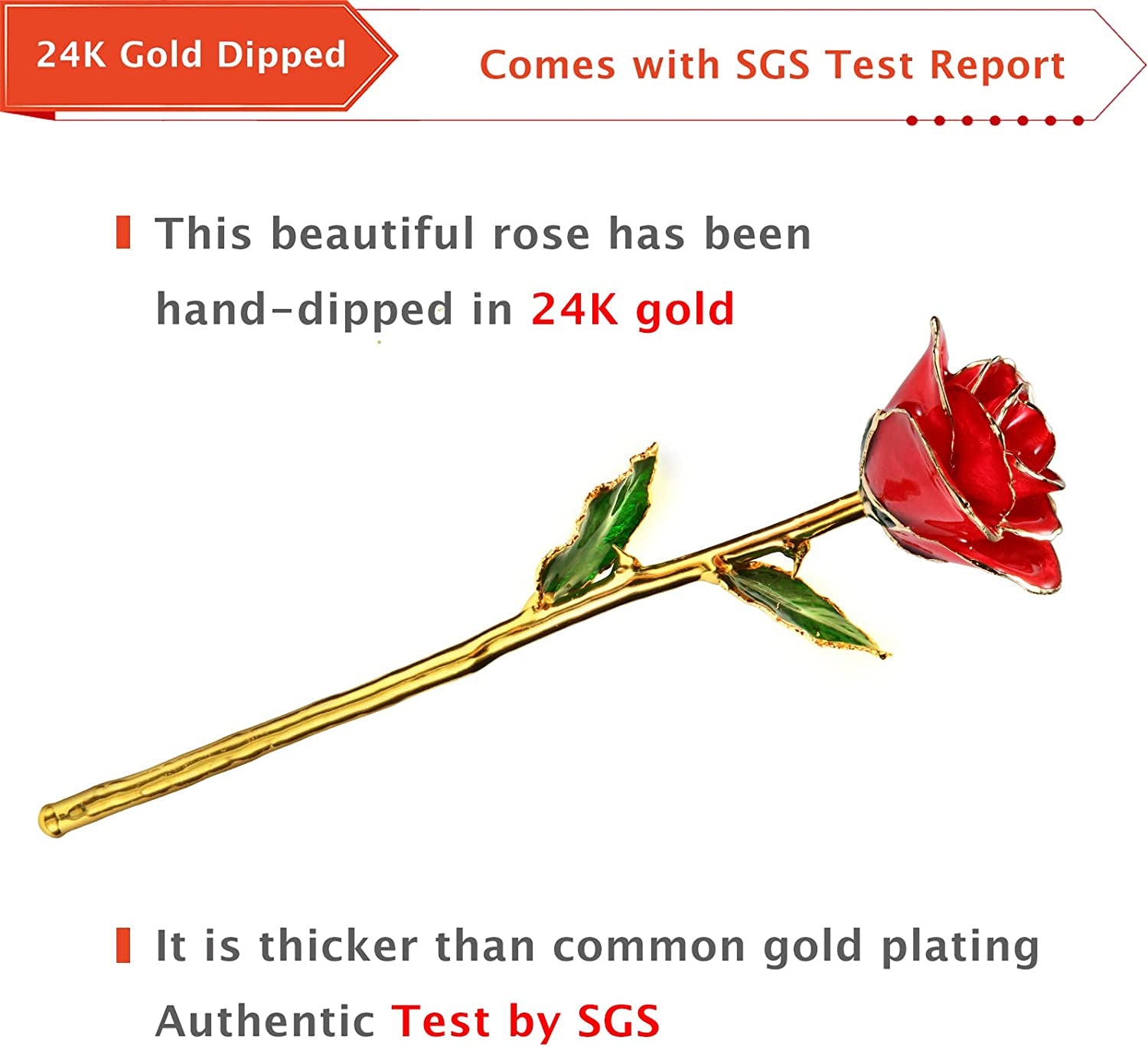 Valentines Day Gift Rose, Long Stem Rose Made from 24K Gold Dipped Real Rose Gift for Her Rose(Red with Crystal Vase)