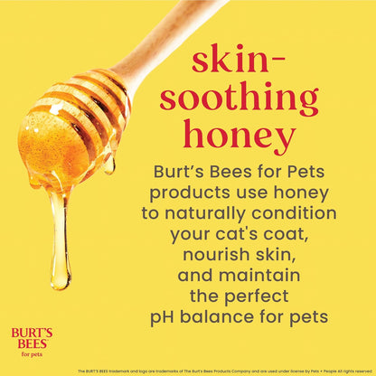 Waterless Cat Shampoo for Cats with Shea Butter and Honey - a No Rinse Dry Kitten Shampoo, Gentle Cat Grooming Supplies for Pet Cleaning, Kittens & Indoor Cats, 10 Fl Oz