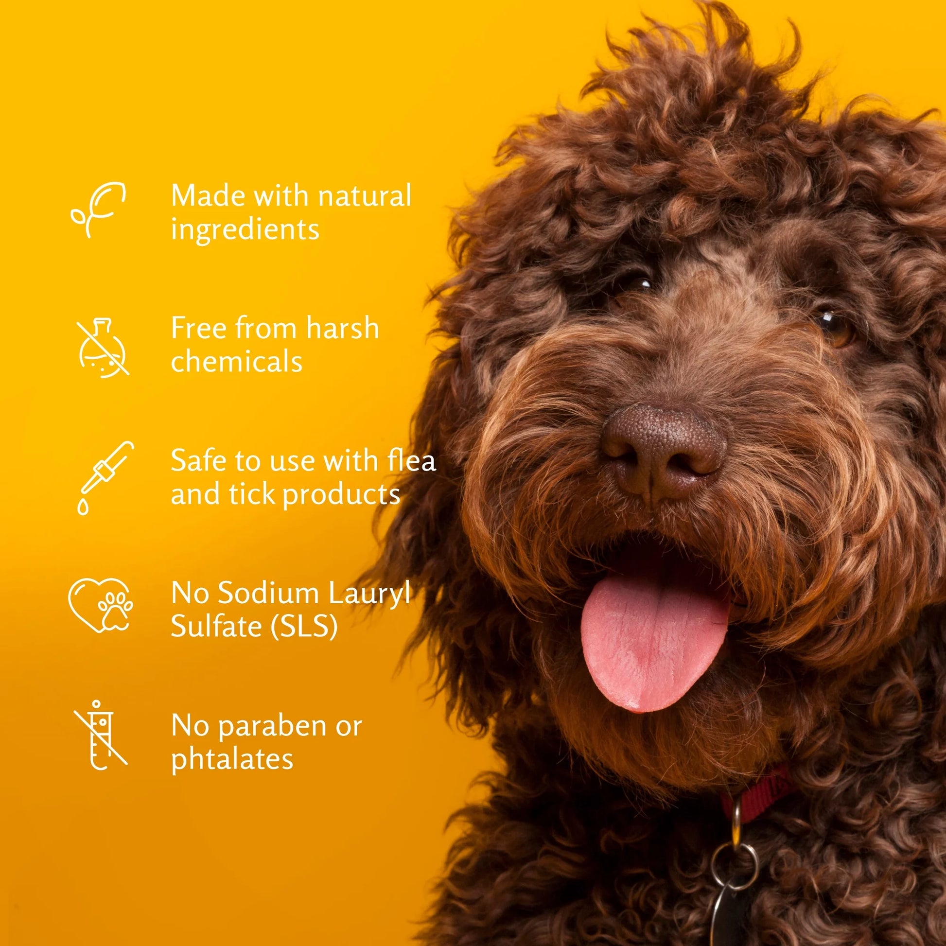 (3 Pack)  Dog Deodorizing Shampoo with Baking Soda, Kiwi Blossom Scent 20 Oz