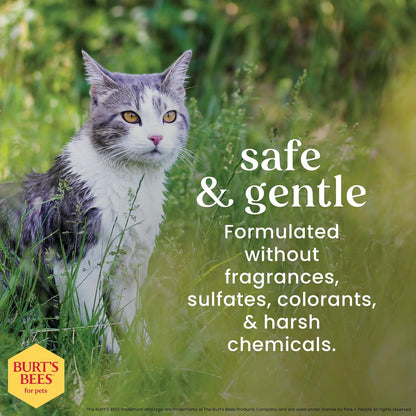 Waterless Cat Shampoo for Cats with Shea Butter and Honey - a No Rinse Dry Kitten Shampoo, Gentle Cat Grooming Supplies for Pet Cleaning, Kittens & Indoor Cats, 10 Fl Oz