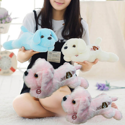 Light up Dog Plush, LED Puppy Stuffed Animal, 13" Glowing Stuffed Pillow Plush with Night Lights Birthday Valentines Gift for Toddler Kids, White