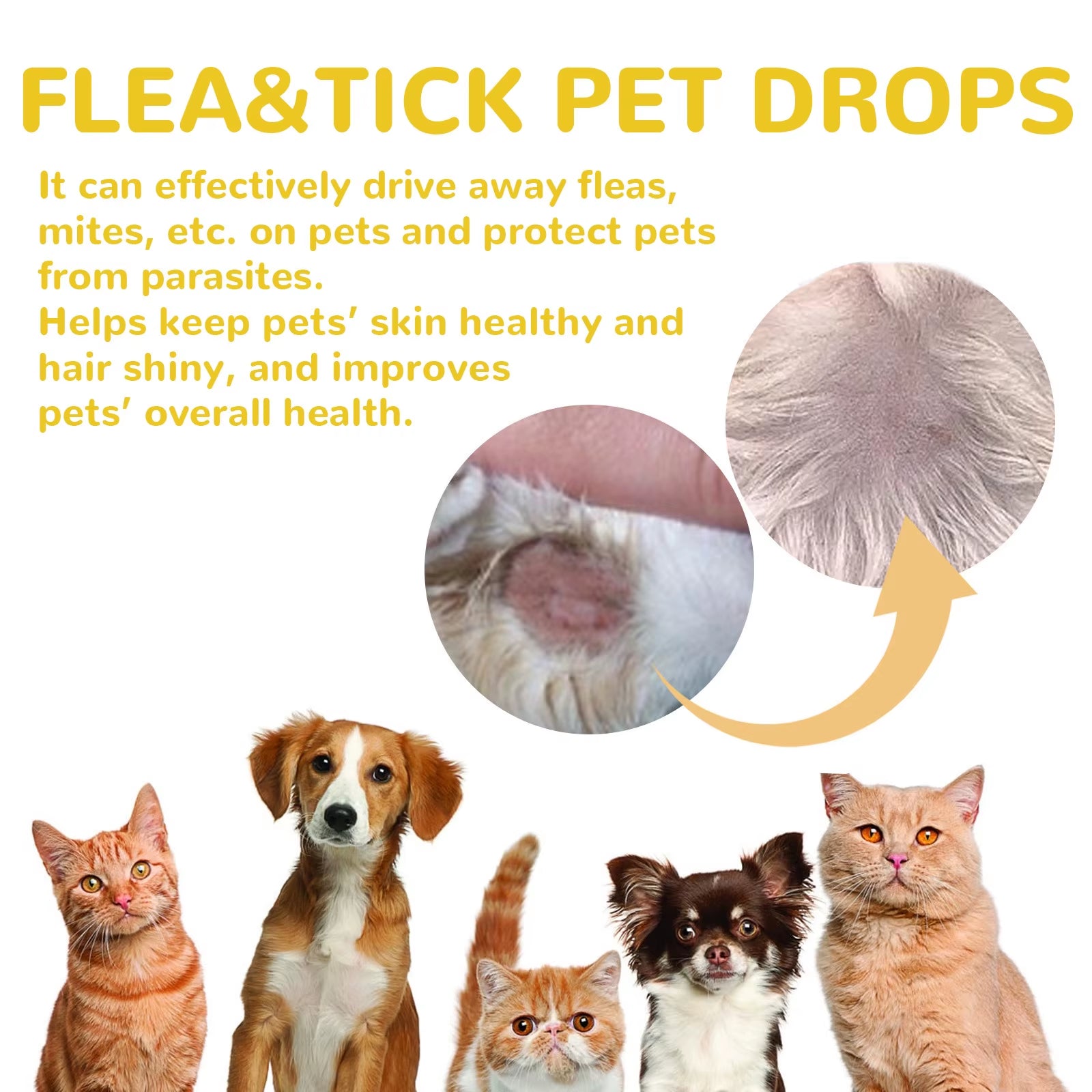 Cat anti Flea Drops Flea Lice Remove Relieve Skin Itching External Insect Repellent Deworming Supplies Pet Tick Treatment Drops